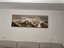 意识形态现代轻奢客厅装饰画高级感背有靠山沙发背景墙挂画LED灯山水壁画 E2393高山流水A 120*40CM+金框 油画布+铝合金边框 实拍图