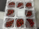 顺丰正宗海南千禧小番茄圣 女果5斤新鲜水果小西红柿水果番茄mh 3斤 实拍图