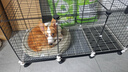 蔻丝狗笼子中小型犬带厕所家用加粗加密宠物幼犬狗狗笼子围栏柯基泰迪 【109*49*57】加深加高 升级款：脚垫+滑轮+托盘+扎带 实拍图