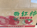 古寨山东普罗旺斯西红柿 单果80g以上 番茄蔬源头直发 净重4.5斤 实拍图