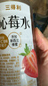 三得利（Suntory）沁莓水 草莓味饮料 550ml*15瓶 实拍图