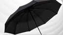 天堂 全自动雨伞三折 10骨加固一键开收易甩干简约晴雨伞 乌木黑 实拍图
