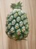 广东香水菠萝新鲜水果徐闻菠萝当季孕妇菠萝非凤梨整箱包邮 1粒装 单果1.3-1.5斤 实拍图