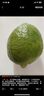 广东香水柠檬生鲜水果一级果无籽香柠青柠现摘现发带箱发货包邮 【2个】单果50g+ 实拍图