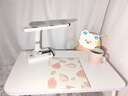 飞旺藤达 床上电脑桌床上书桌小桌子可折叠小桌板懒人简易床桌笔记本电脑桌大号卧室便携大学生宿舍学习桌 珍珠白【60*40*35CM】平面款 实拍图