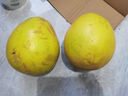 趣鲜语正宗红心柚子蜜柚【爆甜多汁】新鲜当季孕妇水果现摘红肉琯溪礼盒 5斤-【出口级2-3个装净重4.5】 实拍图