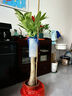 发财树大型绿植室内客厅花卉大盆栽落地办公室摆件阳台放轻松植物 【独杆】1-1.2m 原盆 实拍图