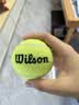 威尔胜（Wilson）IFT初学儿童青少年网球 青少年初学低压训练网球 WRT137001-1粒装 实拍图