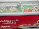 澳柯玛（AUCMA） 商用大容量冷柜 卧式冷冻展示柜雪糕柜 全篮筐便利店冷冻柜平岛柜 【弧形玻璃门】一级能效 | SD-576CG 实拍图
