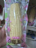 都乐Dole 吉林非即食白甜玉米棒2.4斤装6根 单根200g 香甜可口 包邮 实拍图