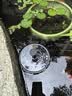 首力太阳能喷泉自动鱼池户外庭院假山循环水泵增氧小型家用水缸喷水器 实拍图
