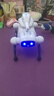 盈佳遥控机器狗儿童玩具男孩遥控汽车ai智能编程早教机器人生日礼物 实拍图