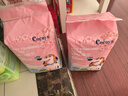 COCOYO狗尿垫春日樱花狗狗隔尿垫宠物尿垫加厚pro max码1.2*0.9米/10片 实拍图