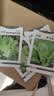 北蔬 奶油生菜种子苗早生阳台四季种青菜蔬菜种籽 奶油生菜种子3500粒 实拍图