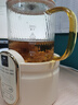 World Kitchen康宁迷你养生壶养生杯全玻璃0.5L 小型电炖杯电热杯煮花茶壶 办公室热牛奶神器煮茶器自用送礼 【标准款】 0.5L 实拍图