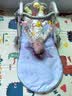 飒望【德国】婴儿玩具0-3-6个月宝宝学步车婴幼儿新生儿车百天见面礼 【升级摇铃】健身架+学步车【4合一电池版】 婴儿早教益智玩具脚踩钢琴 新生儿见面礼周岁礼 实拍图