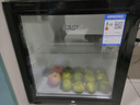 先科（SAST）冰吧冷藏柜 欧式恒温红酒柜办公室酒店家用电冰箱迷你小型单门电竞茶叶保鲜柜展示留样饮料药品柜 65升（冷藏+微冷冻+带锁） 实拍图