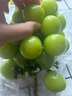 阳光葡萄青提晴王无籽葡萄新鲜水果爆甜 带箱5斤（单果15g+）净重4-4.5斤 实拍图