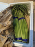 京鲜生山东红帽蒜苔净重2斤粗细适中色泽饱满蒜薹 源头直发 实拍图