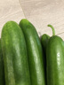 京喜加新鲜无刺水果小黄瓜小青瓜脆甜荷兰脆嫩生吃黄瓜蔬菜 水果黄瓜 3斤 带箱 实拍图