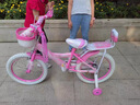 永久儿童自行车高碳钢车架带辅助轮2-6-10岁女童单车女孩公主款脚踏车 【黑胎】公主粉+后座款 16寸【适合身高105-125cm】 实拍图
