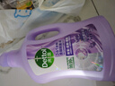 滴露（Dettol）衣物柔顺剂护理剂持久留香薰衣草 柔软剂衣物消毒液校服净防静电 实拍图