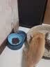 馋不腻低敏无谷鸡肉猫粮猫干粮单一肉源鸡肉味2.5kg*4包 实拍图