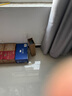 天堂全自动加大三折晴雨伞抗风暴伞强效拒水商务伞男女士 4#黑色-12骨伞下114cm3人大伞 实拍图