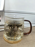 雅集玻璃杯一叶菩提杯500ml男女士办公家用耐热玻璃泡茶茶水分离杯子 实拍图