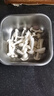 白玉菇150g 实拍图