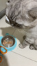 软罐头猫罐头整箱猫咪零食猫主食罐补充营养补水猫零食成猫幼湿粮 金枪鱼+鸡丝/有鱼有肉两种美味 40g*12包 实拍图