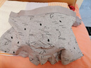 南极人男士内裤男抑菌纯棉【轻奢系列】平角男式短裤头四角男生裤衩2XL 实拍图