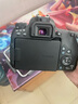 佳能（Canon）EOS 750D 760D 800D 850D 77D 二手单反相机高清数码照相机 99新 77D 单机身 标配【无内存卡等配件，套餐更划算】 99新 实拍图