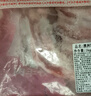 鲜京采澳洲精选原切羊肋排（偏瘦） 2斤/袋 草饲羊肉 京东自有品牌 实拍图
