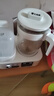 小壮熊 婴儿恒温水壶 奶瓶暖奶消毒器 冲奶机暖奶专用温奶泡奶家用 1.5L 实拍图
