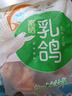 硒全食美富硒乳鸽 300g/只 冷冻 供港鸽子 全程冷链烧烤食材生鲜鸽子肉 实拍图