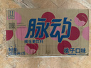 脉动桃子口味 600ML*15瓶 维C低糖维生素出游运动饮料 地球超新鲜同款 实拍图