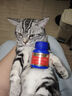 USPET英国宠物猫咪狗狗益生菌幼犬幼猫调理肠胃软便拉稀专用活性益生菌 实拍图