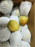 京鲜生 新疆库尔勒香梨 净重5斤 一级 单果100g-120g  生鲜水果 实拍图