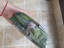 babycare山茶花婴儿纸尿裤试用装L码3片(9-14kg)花苞轻柔宝宝尿不湿透气 实拍图