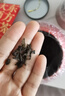 福东顺 茶叶 云南正宗普洱茶熟茶勐海古树普洱散茶中秋礼盒装500g 实拍图