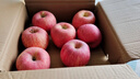 吉县苹果【爆甜】2025正宗吉县苹果脆甜多汁壶口苹果新鲜水果整箱产地直发 【8.5斤】80mm中果【21颗左右】 当季吉县壶口苹果 实拍图