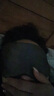 TA 真丝眼罩睡眠觉遮光透气男女士学生桑蚕丝午睡休情侣旅行灰 实拍图