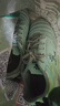 卡尔美（KELME）成人足球鞋男比赛TF碎钉球鞋学生透气防滑球鞋873701 薄荷绿 40 实拍图