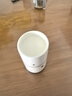 川秀（进口10菌型）酸奶发酵菌粉酸奶粉 双歧杆菌 发酵剂酸奶菌10g 实拍图