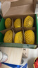 佳沛（zespri）新西兰  阳光金奇异果6粒装 单果约77-103g  源头直发  猕猴桃 实拍图