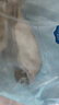 我爱渔太平洋深海鳕鱼块斜切1000g 带皮去刺5袋装 新西兰长尾鳕鱼 实拍图