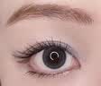 荔树狐系假睫毛分段式自然仿真女免胶自粘眼睫毛 苏妲己免胶款42簇 实拍图