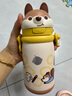 babycare儿童保温杯小松鼠婴儿宝宝学饮杯不锈钢吸管水杯壶学生上学450ml 实拍图