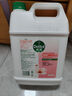 滴露（Dettol）洗手液补充装大桶消毒滋润5L 儿童家庭装杀菌护手 实拍图
